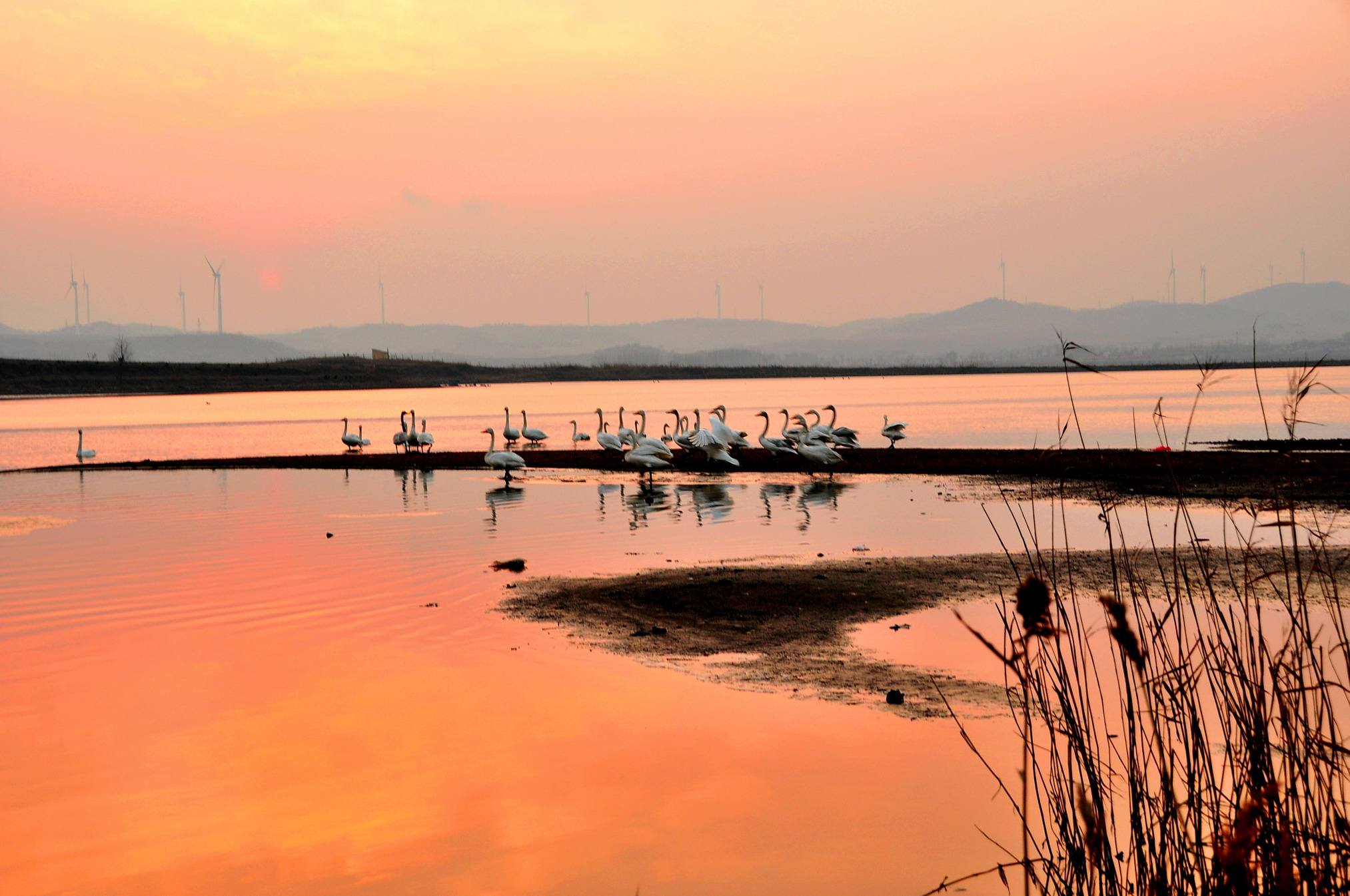 天鹅湖景区