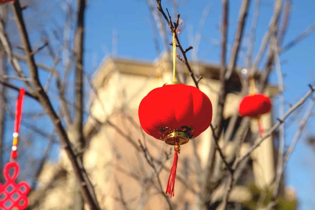 爱莲湾活动回顾 | 年货大采办(图11)